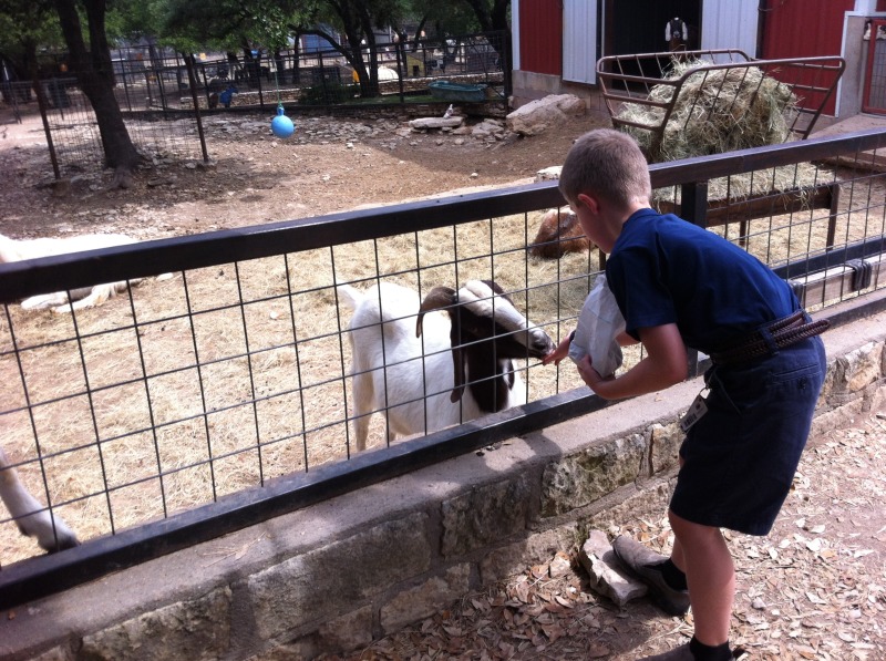 2012-04-09-15-Austin Zoo with Ian.jpg